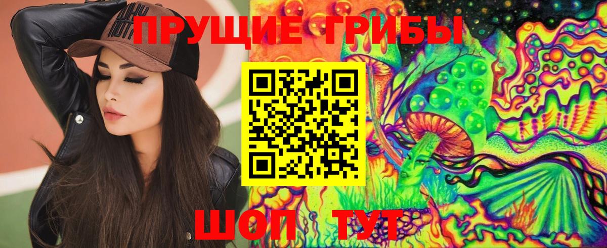 Чайковский  Галлюциногенные грибы Psilocybine cubensis  Вход с VPN 