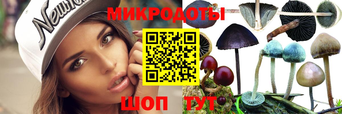 Псилоцибиновые грибы Magic Shrooms Чайковский